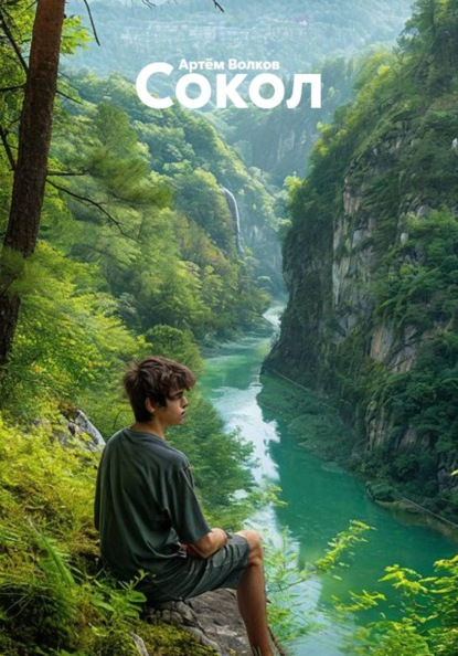 Скачать книгу Сокол