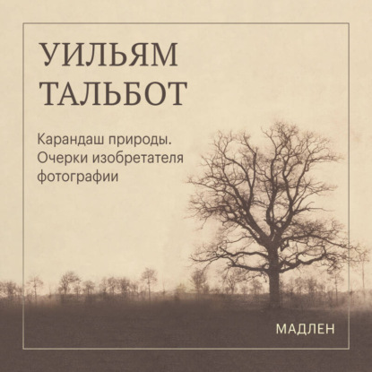 Скачать книгу Карандаш природы. Очерки изобретателя фотографии