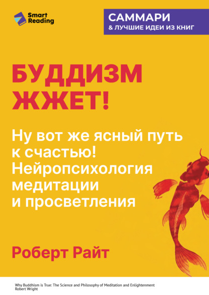 Скачать книгу Буддизм жжет! Ну вот же ясный путь к счастью! Нейропсихология медитации и просветления. Роберт Райт. Саммари