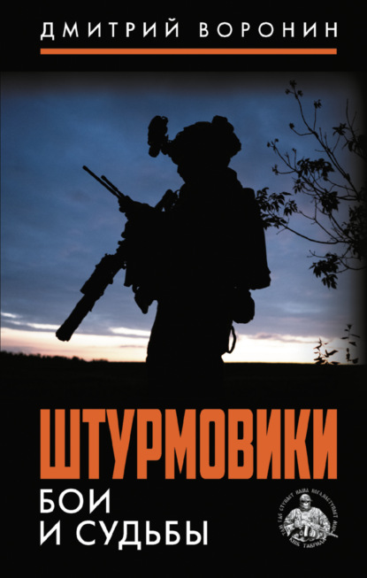 Скачать книгу Штурмовики. Бои и судьбы