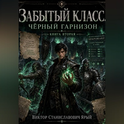 Скачать книгу Забытый класс. Чёрный гарнизон