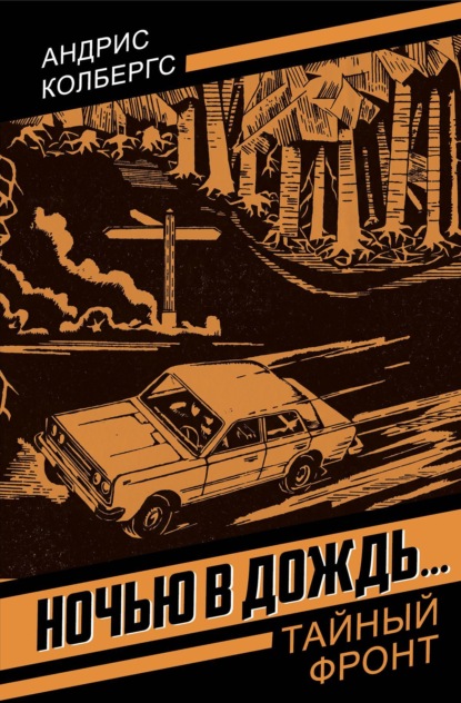 Скачать книгу Ночью в дождь