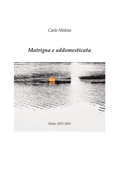 Скачать книгу Matrigna e addomesticata