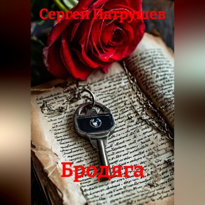 Скачать книгу Бродяга