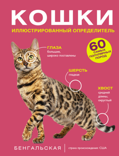 Скачать книгу Кошки. 60 самых популярных пород. Иллюстрированный определитель