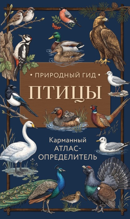 Скачать книгу Птицы. Карманный атлас-определитель
