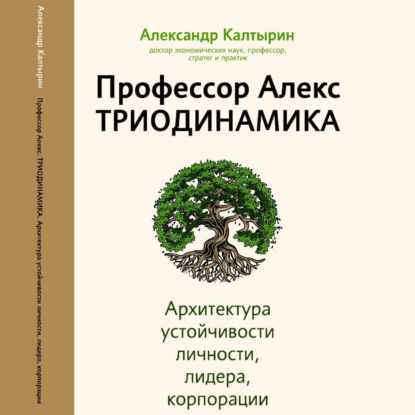 Скачать книгу Профессор Алекс. Триодинамика. Архитектура устойчивости личности, лидера и корпорации