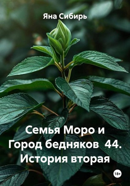 Семья Моро и Город бедняков 44. История вторая