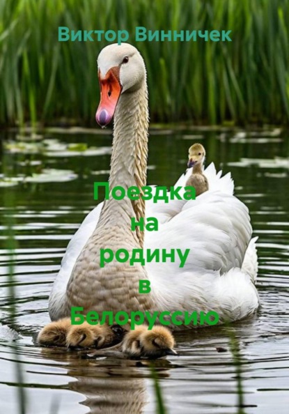 Скачать книгу Поездка на родину в Белоруссию