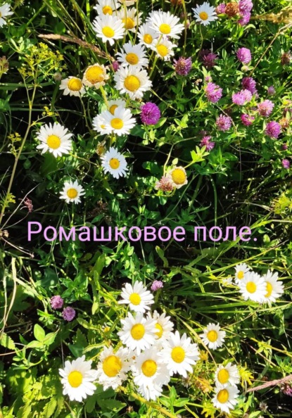 Скачать книгу Ромашковое поле