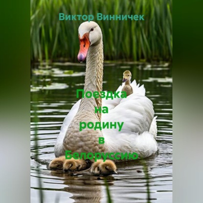 Скачать книгу Поездка на родину в Белоруссию