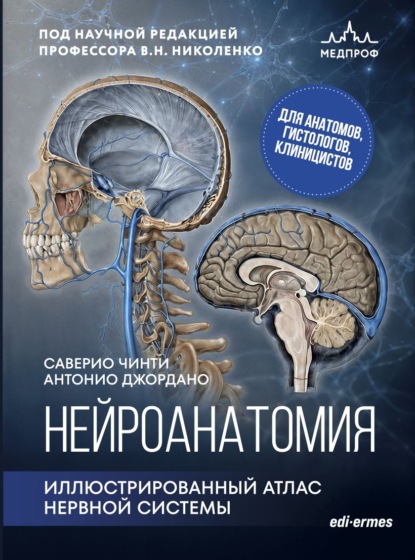 Скачать книгу Нейроанатомия. Иллюстрированный атлас нервной системы
