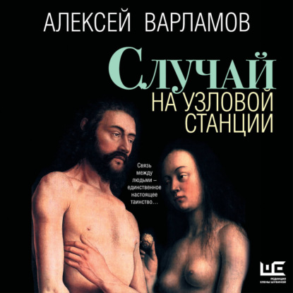 Скачать книгу Случай на узловой станции