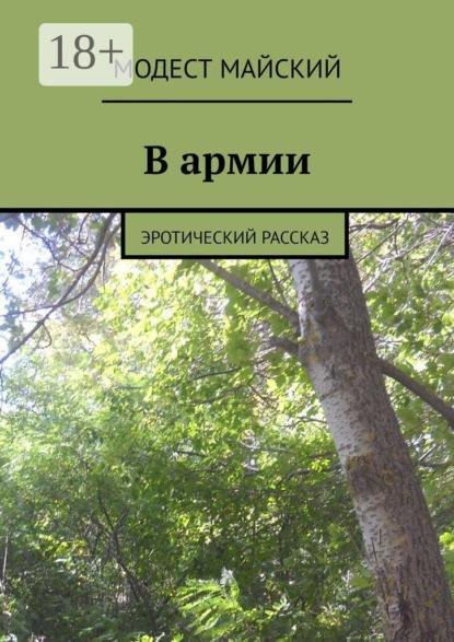 Скачать книгу В армии. Эротический рассказ