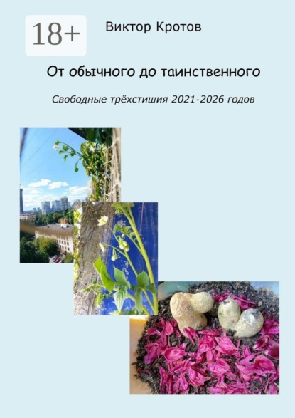 Скачать книгу От обычного до таинственного. Свободные трёхстишия 2021—2026 годов