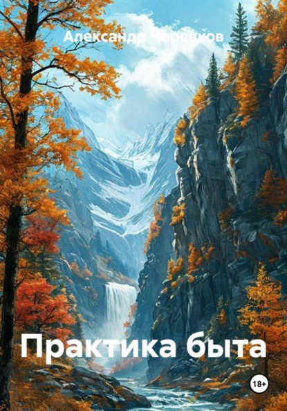 Скачать книгу Практика быта