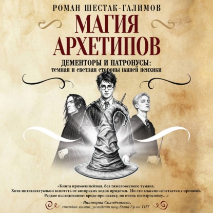 Скачать книгу Магия архетипов. Дементоры и патронусы: темная и светлая стороны нашей психики