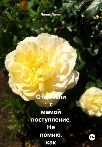 Скачать книгу Отмечали с мамой поступление. Не помню, как оказалась в кровати с дядькой... Забеременела от него