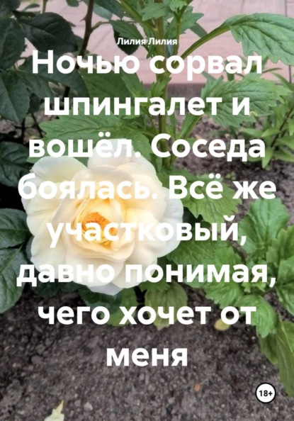 Скачать книгу Ночью сорвал шпингалет и вошёл. Соседа боялась. Всё же участковый, давно понимая, чего хочет от меня