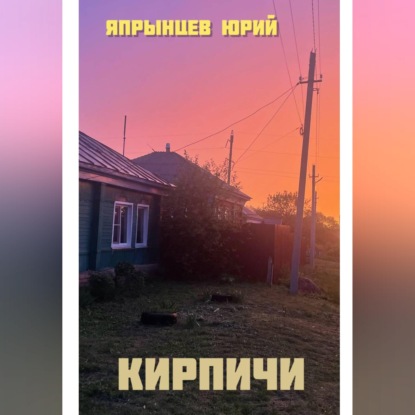 Скачать книгу Кирпичи