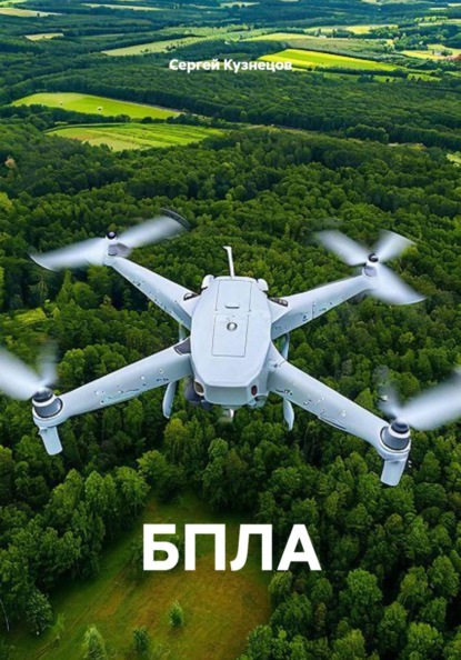 Скачать книгу БПЛА