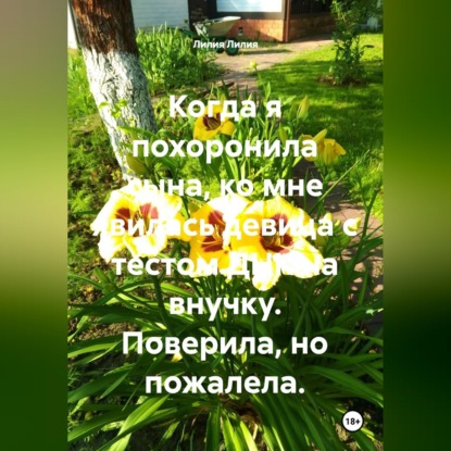 Скачать книгу Когда я похоронила сына, ко мне явилась девица с тестом ДНК на внучку. Поверила, но пожалела.