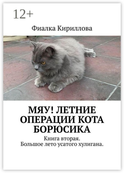 Скачать книгу Мяу! Летние операции кота Борюсика. Книга вторая. Большое лето усатого хулигана.