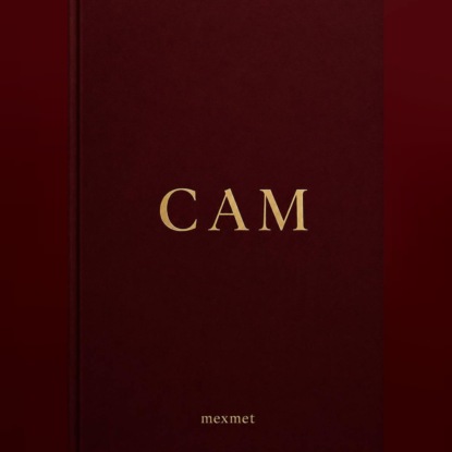 Скачать книгу САМ