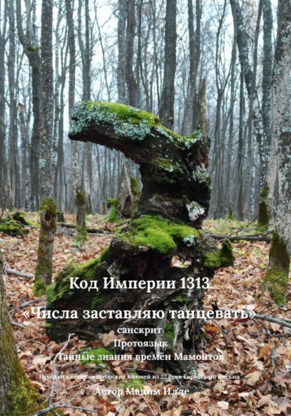 Скачать книгу Код Империи 1313. «Числа заставляю танцевать» — санскрит. Протоязык. Тайные знания времён Мамонтов