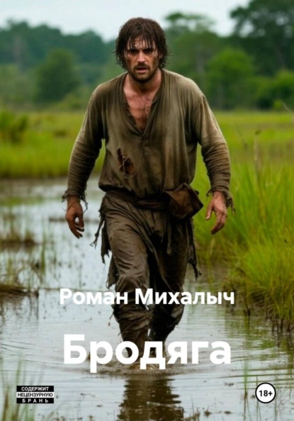 Скачать книгу Бродяга