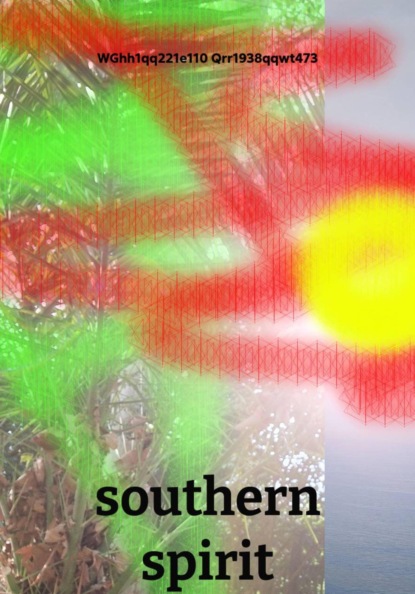 Скачать книгу southern spirit