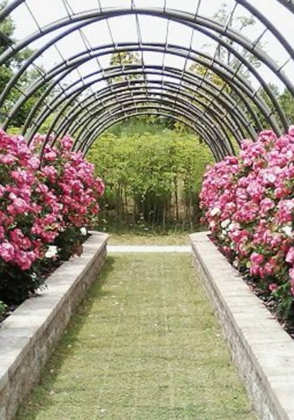 Скачать книгу "Тень прошлого"