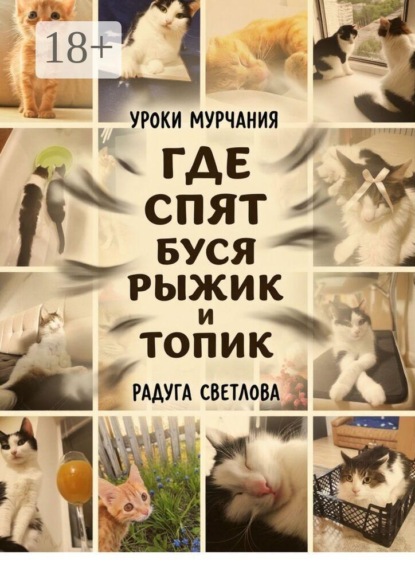 Скачать книгу Где спят Буся, Рыжик и топик. Уроки мурчания