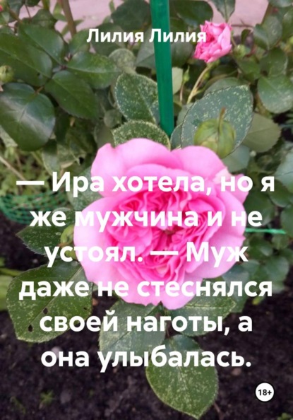Скачать книгу — Ира хотела, но я же мужчина и не устоял. — Муж даже не стеснялся своей наготы, а она улыбалась.