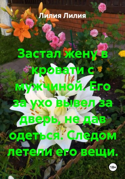 Скачать книгу Застал жену в кровати с мужчиной. Его за ухо вывел за дверь, не дав одеться. Следом летели его вещи.