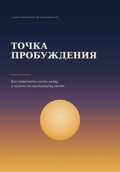 Скачать книгу Точка пробуждения