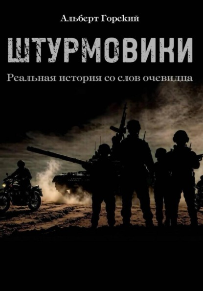 Скачать книгу Штурмовики