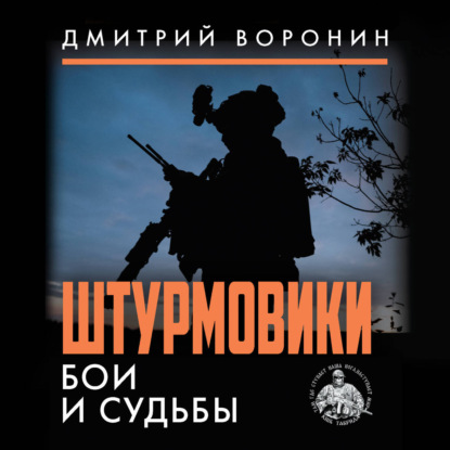Скачать книгу Штурмовики. Бои и судьбы