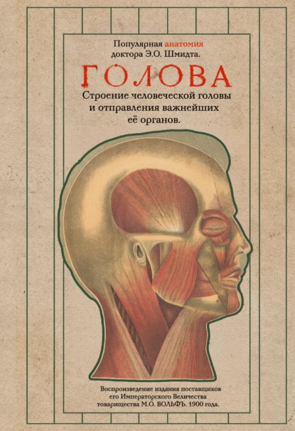 Скачать книгу Голова. Строение человеческой головы и отправления важнейших её органов