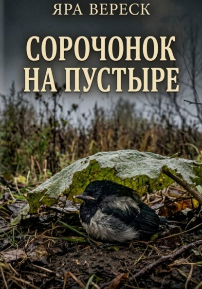 Скачать книгу Сорочонок на пустыре