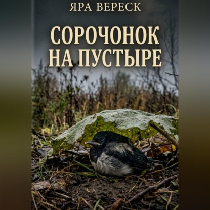 Сорочонок на пустыре