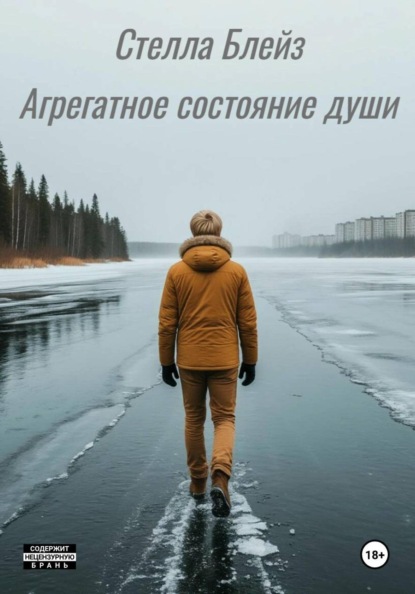 Скачать книгу Агрегатное состояние души