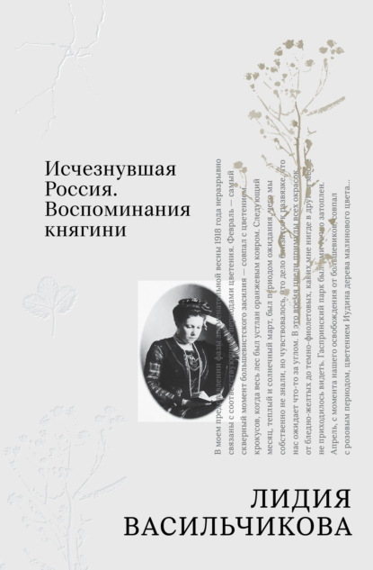 Скачать книгу Исчезнувшая Россия. Воспоминания княгини