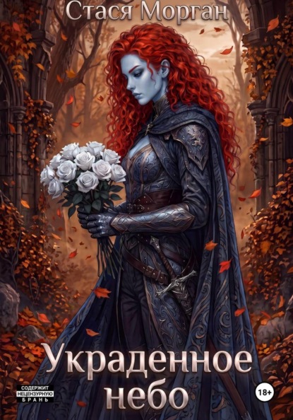Скачать книгу Украденное небо