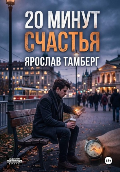 Скачать книгу 20 минут счастья