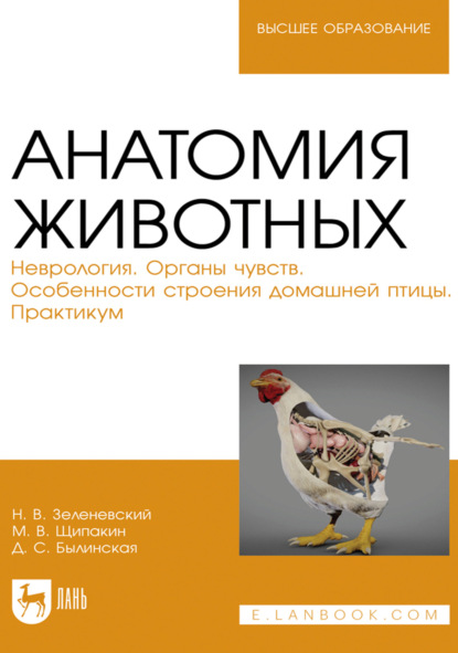 Скачать книгу Анатомия животных. Неврология. Органы чувств. Особенности строения домашней птицы. Практикум. Учебное пособие для вузов. 3-е издание, исправленное и дополненное