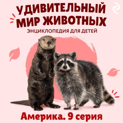 Скачать книгу Удивительный мир животных. Америка. Серия 9