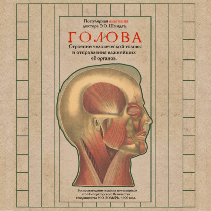 Скачать книгу Голова. Строение человеческой головы и отправления важнейших её органов