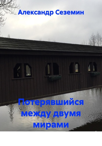 Скачать книгу Потерявшийся между двумя мирами