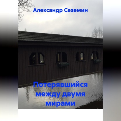 Скачать книгу Потерявшийся между двумя мирами
